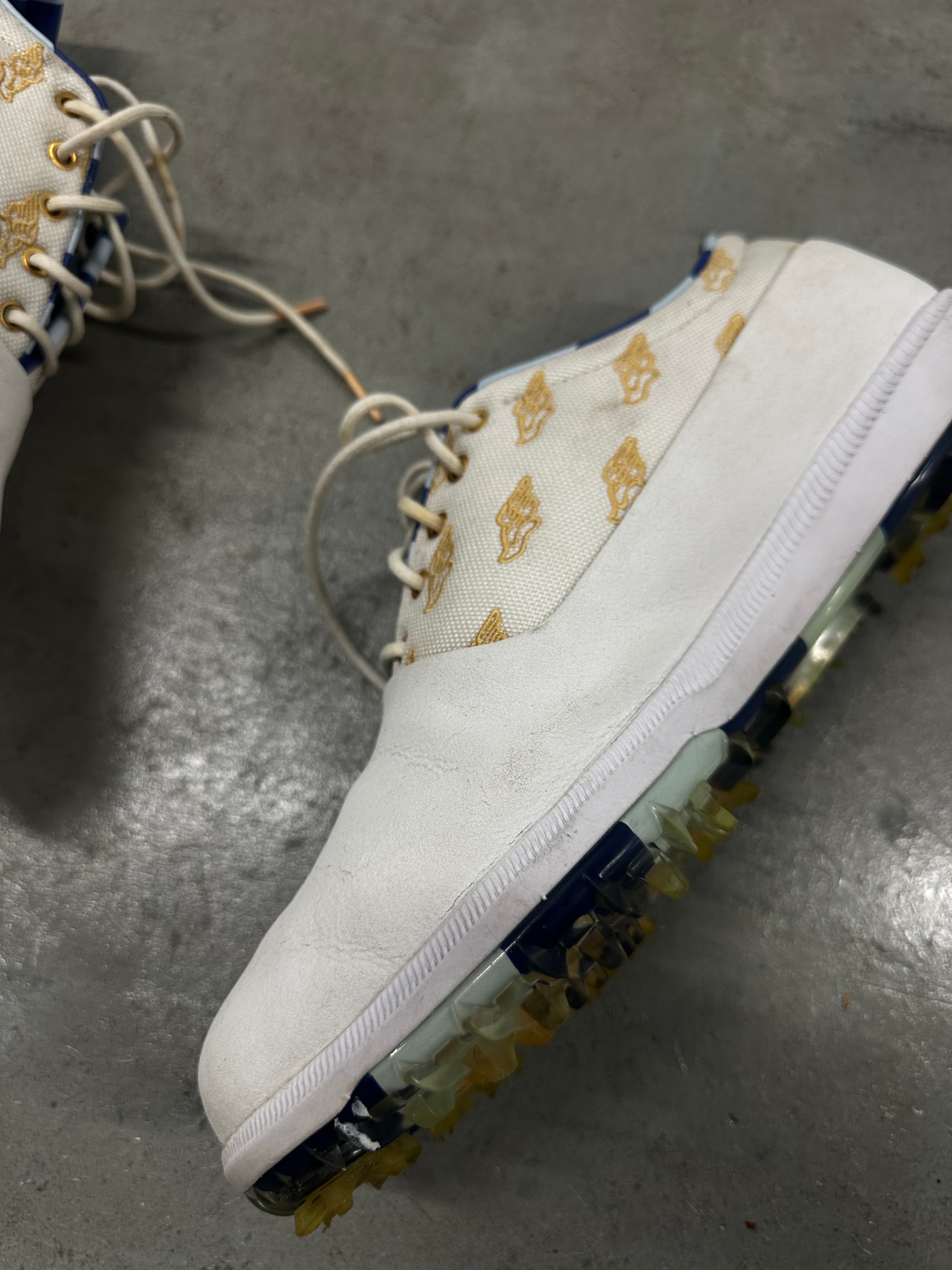2020 “Wing It” Nike Victory Tour (9.5)